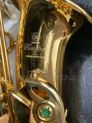 Alto Saxophone Custom Zz Golden