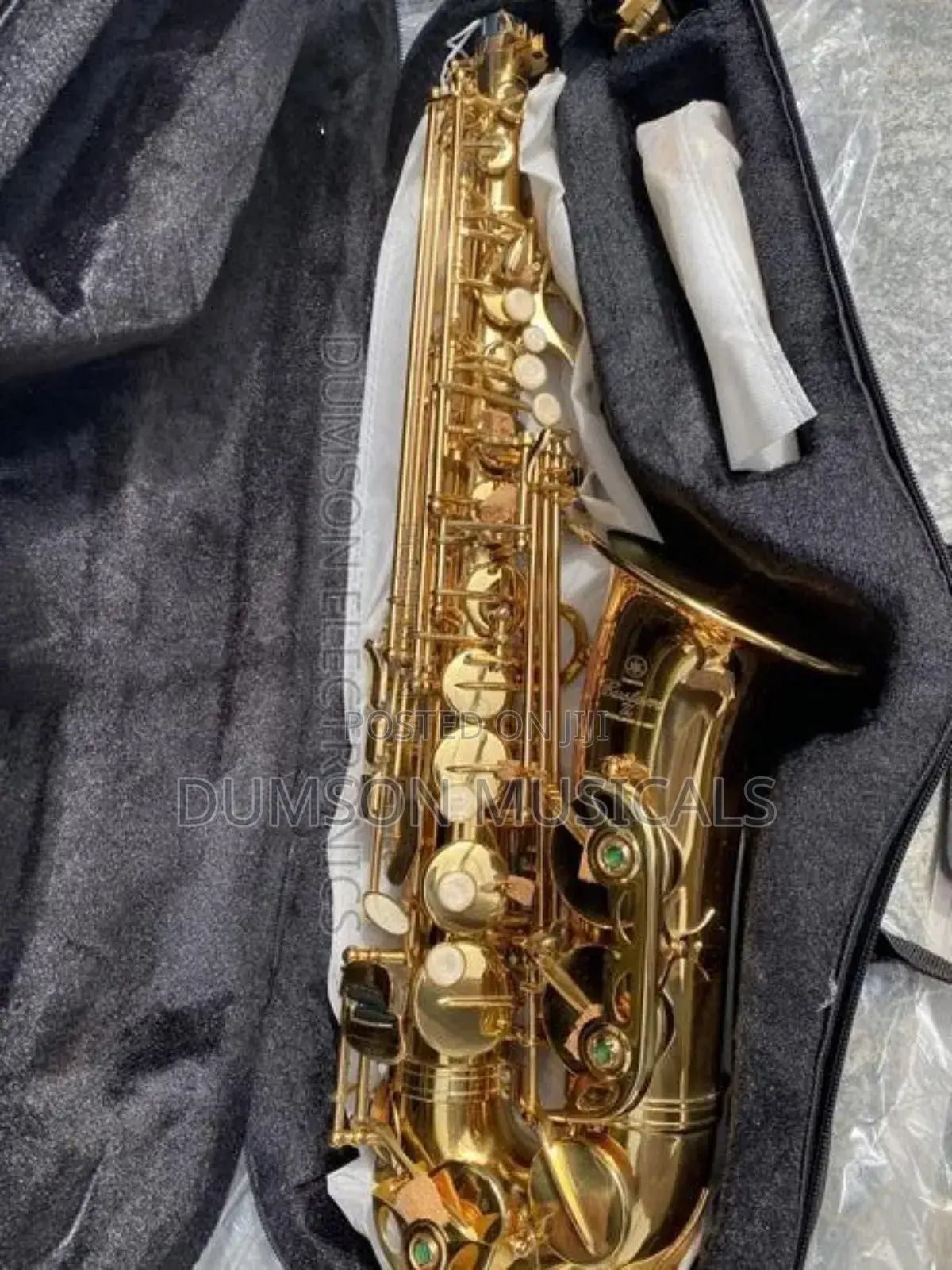 Alto Saxophone Custom Zz Golden