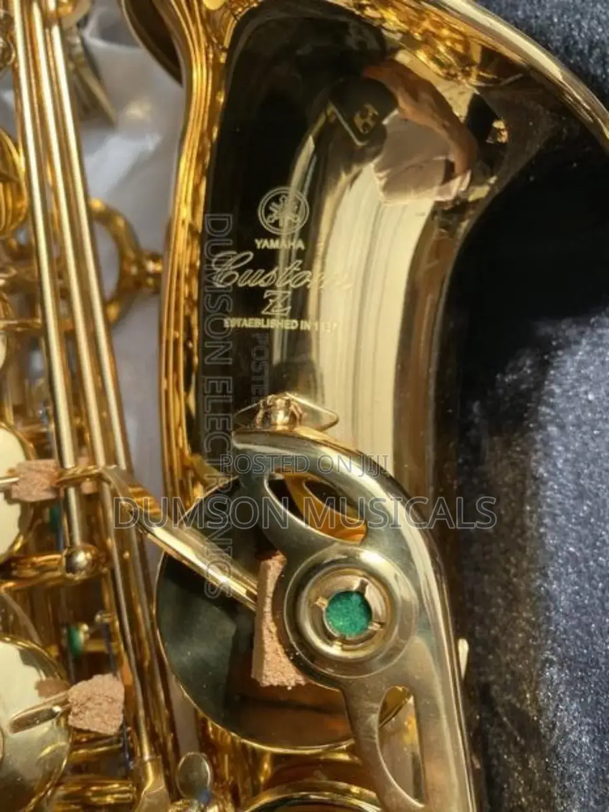 Alto Saxophone Custom Zz Golden