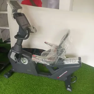 Commercial Recumbent Bike