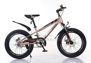 Unisex Bicycle for Young Children Age (10-35years)