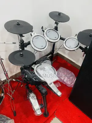 Professional Electric Drum