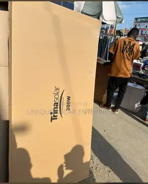 Trina Solar Panel