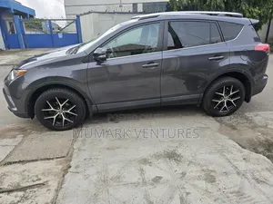 Toyota RAV4 SE AWD (2.5L 4cyl 6A) 2016 Gray
