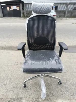 Executive Ergonomic Chair