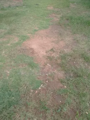 Land for Sale in Ogbeozoma Asaba