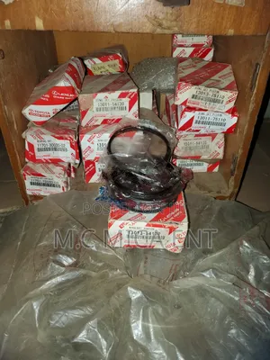 Hilux Prado 5l Engine Rings Assy