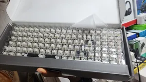 Y-fruitful Wired 100 Keys Rgb Backlit Transparent Mechanical