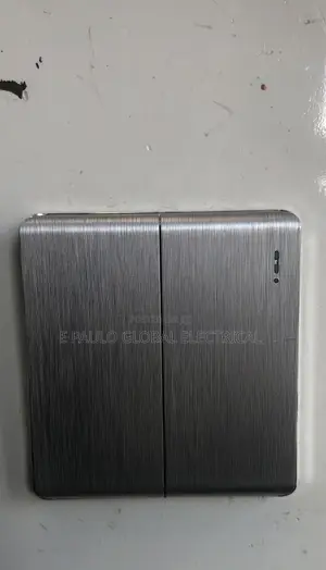 2gang Sliver Switch