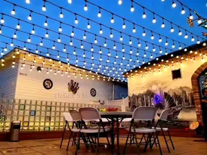 10 Metres 20 Lamp Holder String Lights