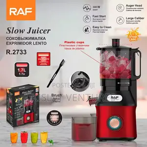 Raf Slow Juicer 300w
