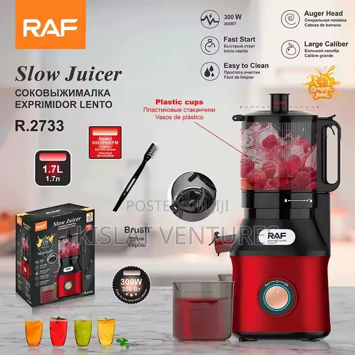 Raf Slow Juicer 300w