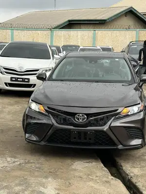 Toyota Camry LE (2.5L 4cyl 8A) 2019 Gray
