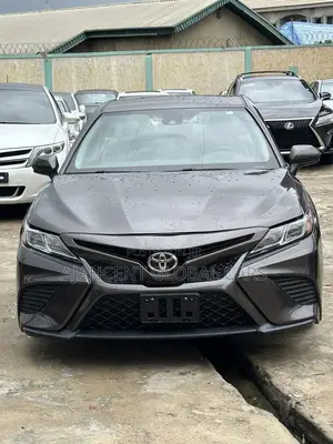Toyota Camry LE (2.5L 4cyl 8A) 2019 Gray
