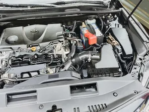 Toyota Camry SE (2.5L 4cyl 8A) 2019 Black