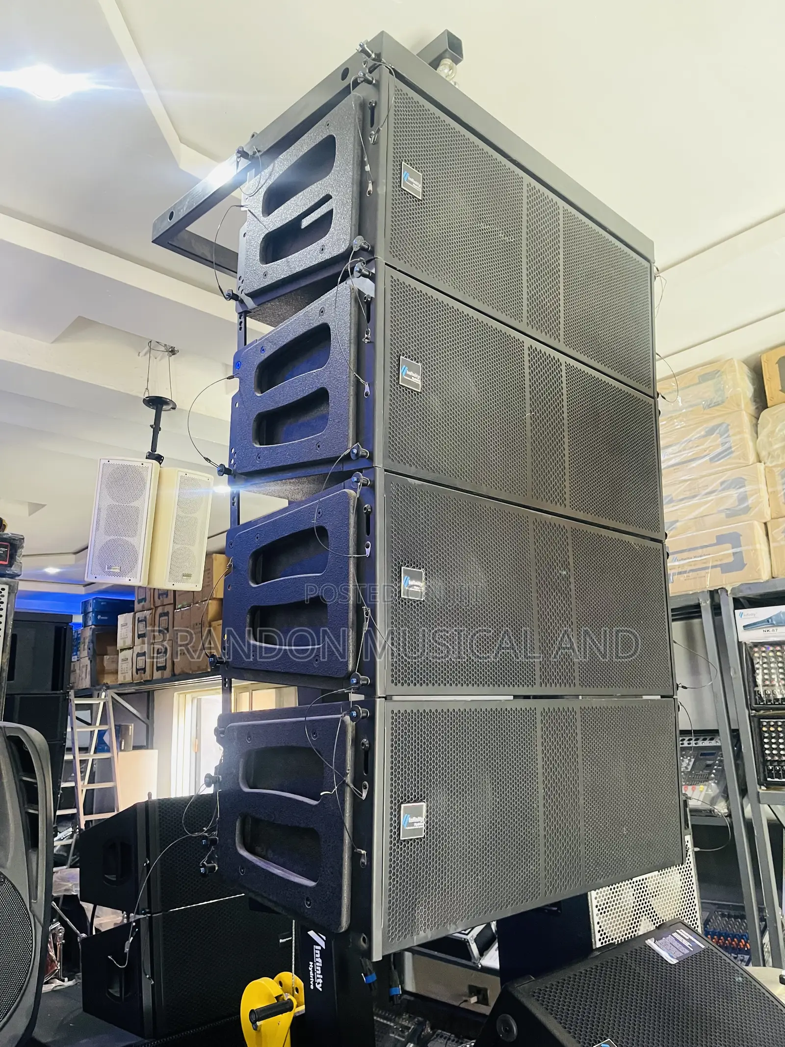 Infinity 12inch Line Array Speakers