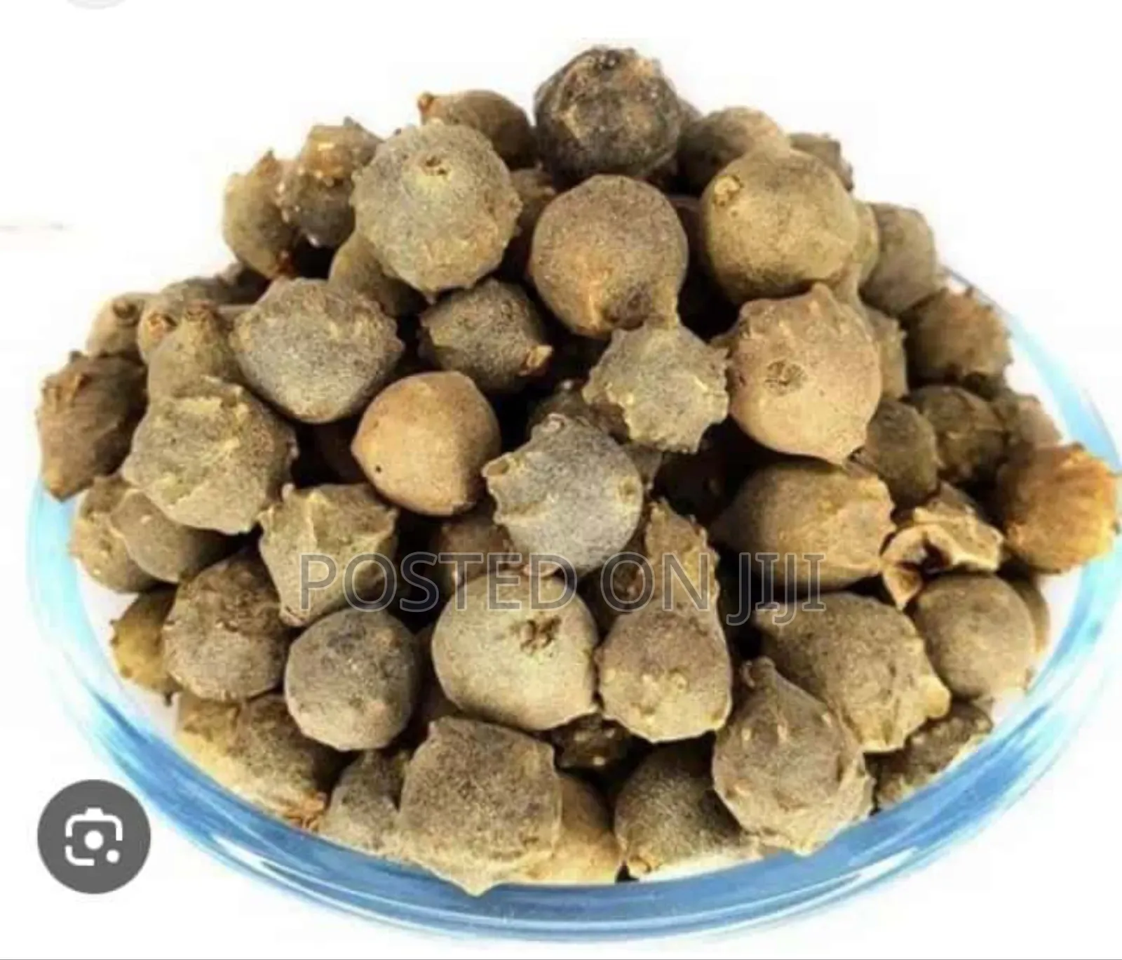 Oak Gall (Manjakani) 100g