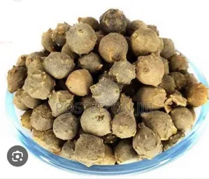 Oak Gall (Manjakani) 100g