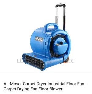 Powerful Floor Dryer (Model: Dmcgj)
