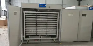 3,000 Capacity Incubator
