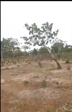 5 Hectares Of Farm Land For Sale In Abuja