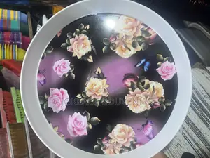 Quality Plastic Tray Available For Souvenirs