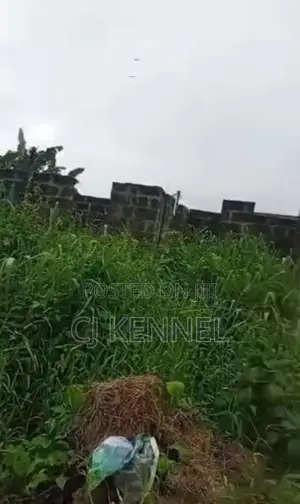 Photo - 3bdrm House in Prime Property, Ugheli for sale