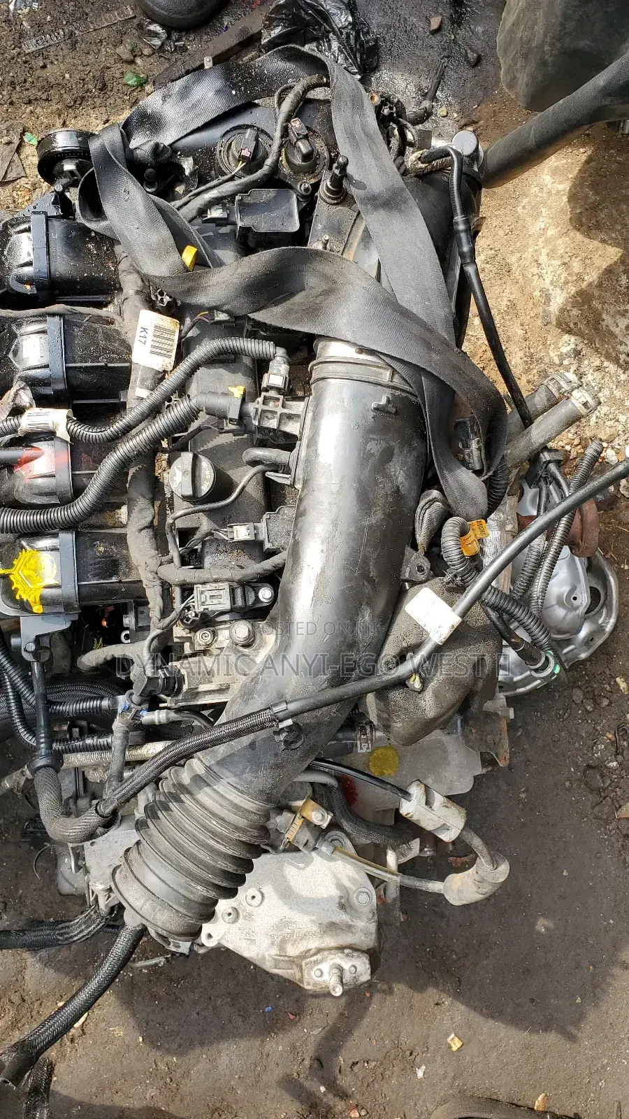 Ford Focus Engine