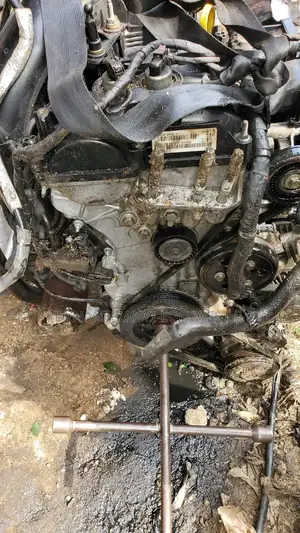Ford Focus Engine