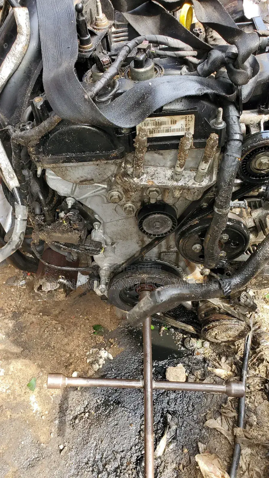 Ford Focus Engine