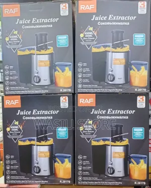 Raf Juice Extractor, Model R.2817s