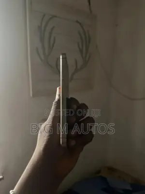 Apple iPhone 16 Pro Max 1 TB Gray