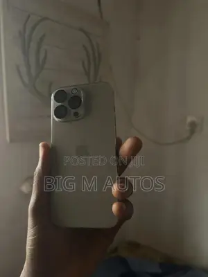 Apple iPhone 16 Pro Max 1 TB Gray
