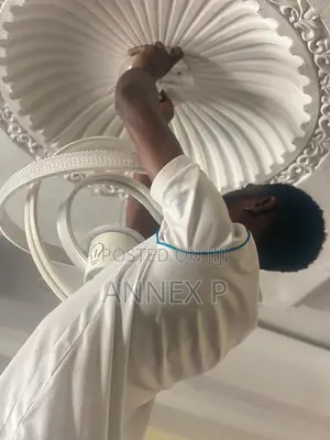 Solar Inverter Installer