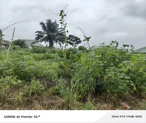 Full Plot of Land for Sale at Laaga, Elepe