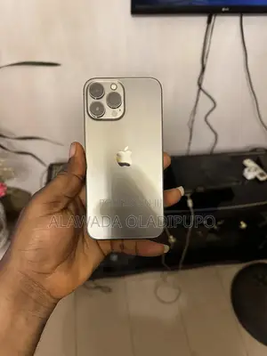 Photo - Apple iPhone 13 Pro Max 256 GB Gray