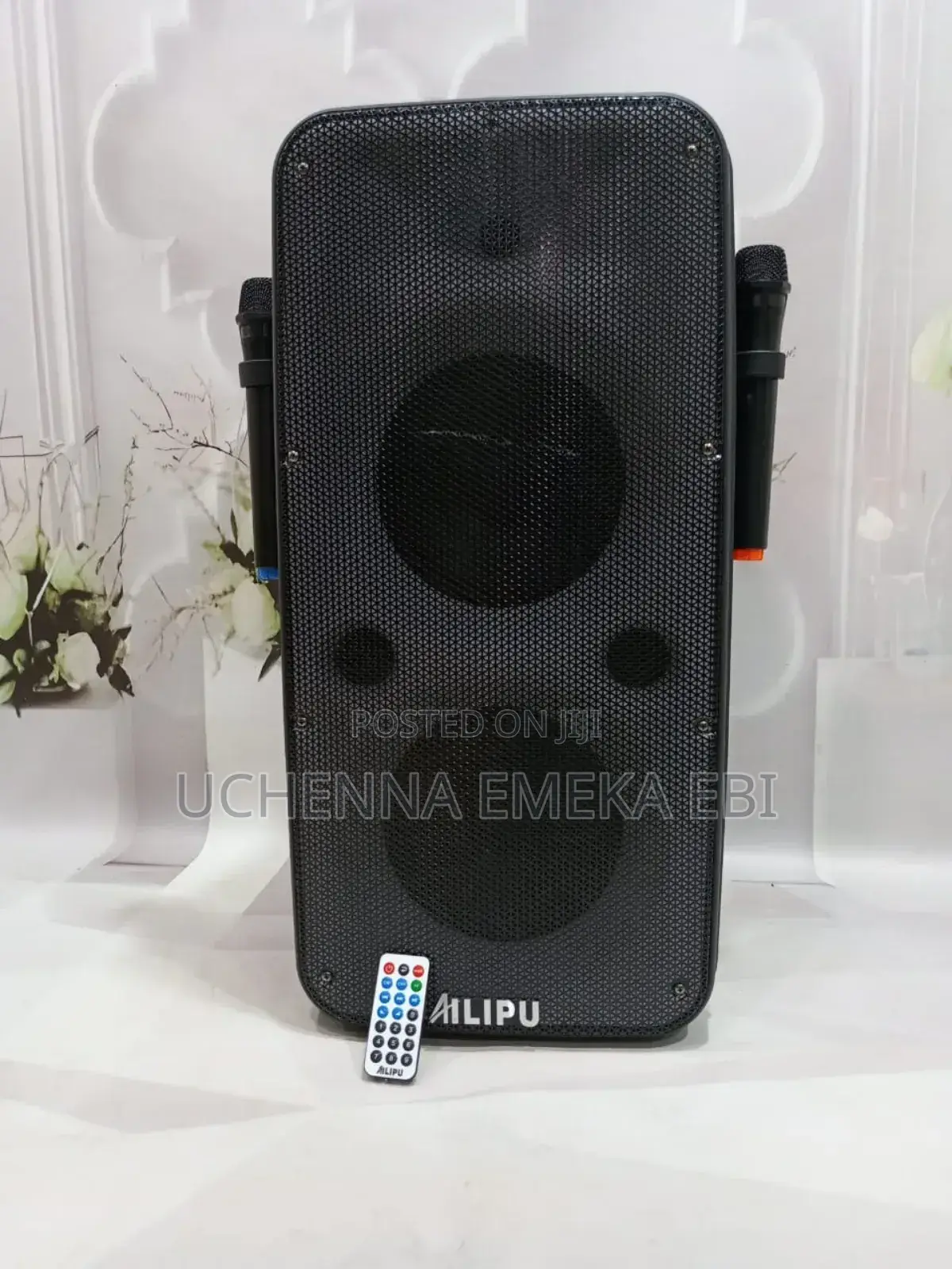 Home Theater System