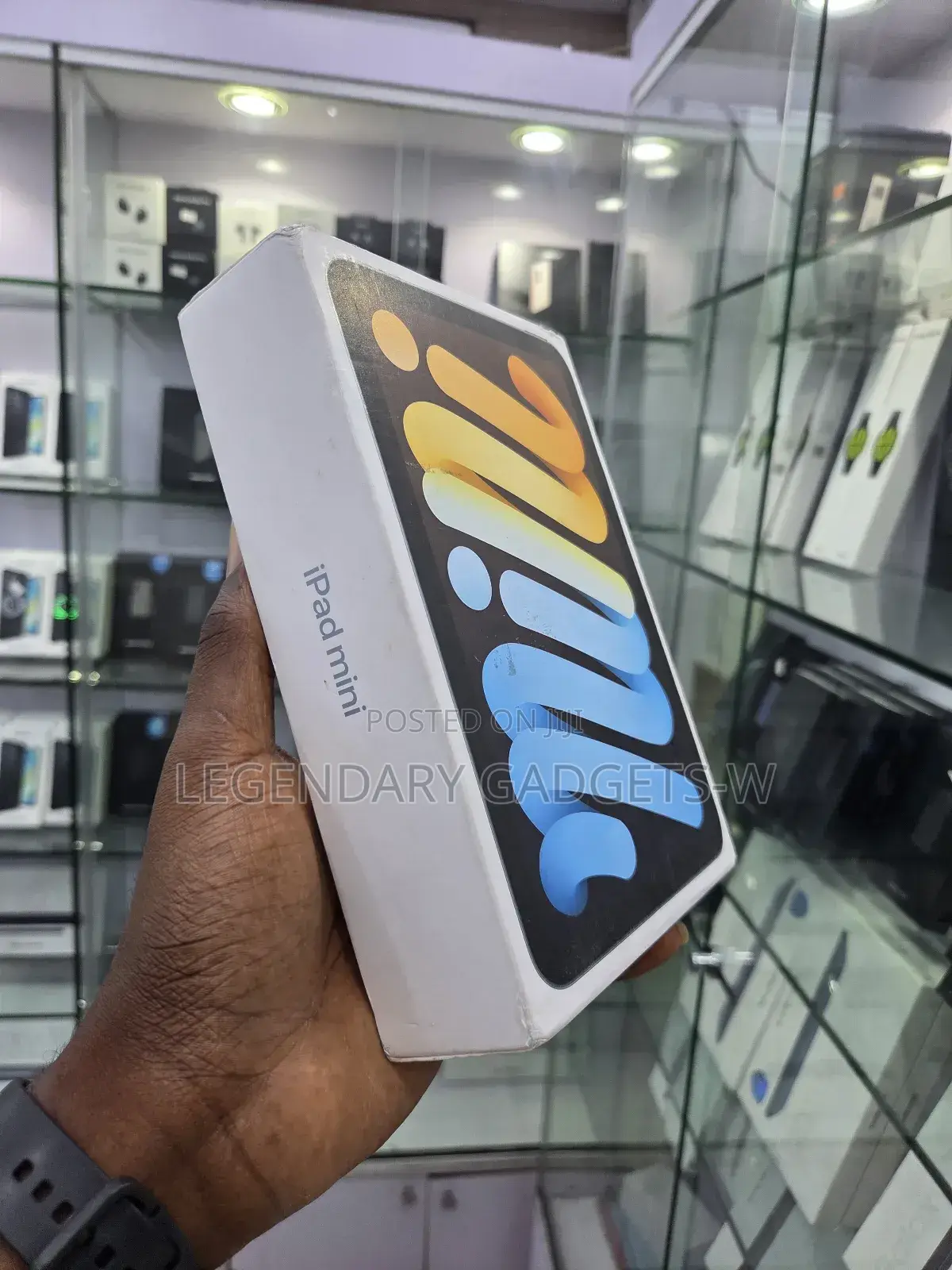 New Apple iPad mini (2024) 256 GB Blue
