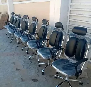 Home and Office Kidney Chair