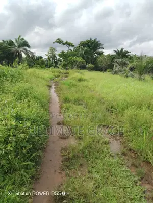 Five Plots of Land for Sale at Umunyia Ishiagu Awka South