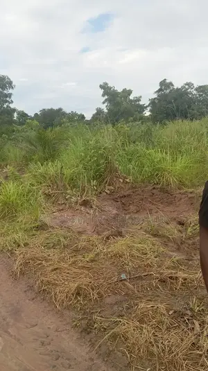 More Than 8 Plots for Sale at Isiagu