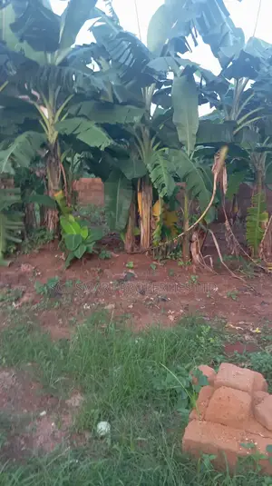 2 Plots of Land for Sale at Isiagu