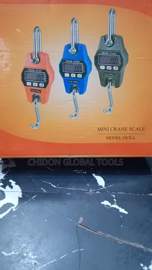 300kg Hanging Scale