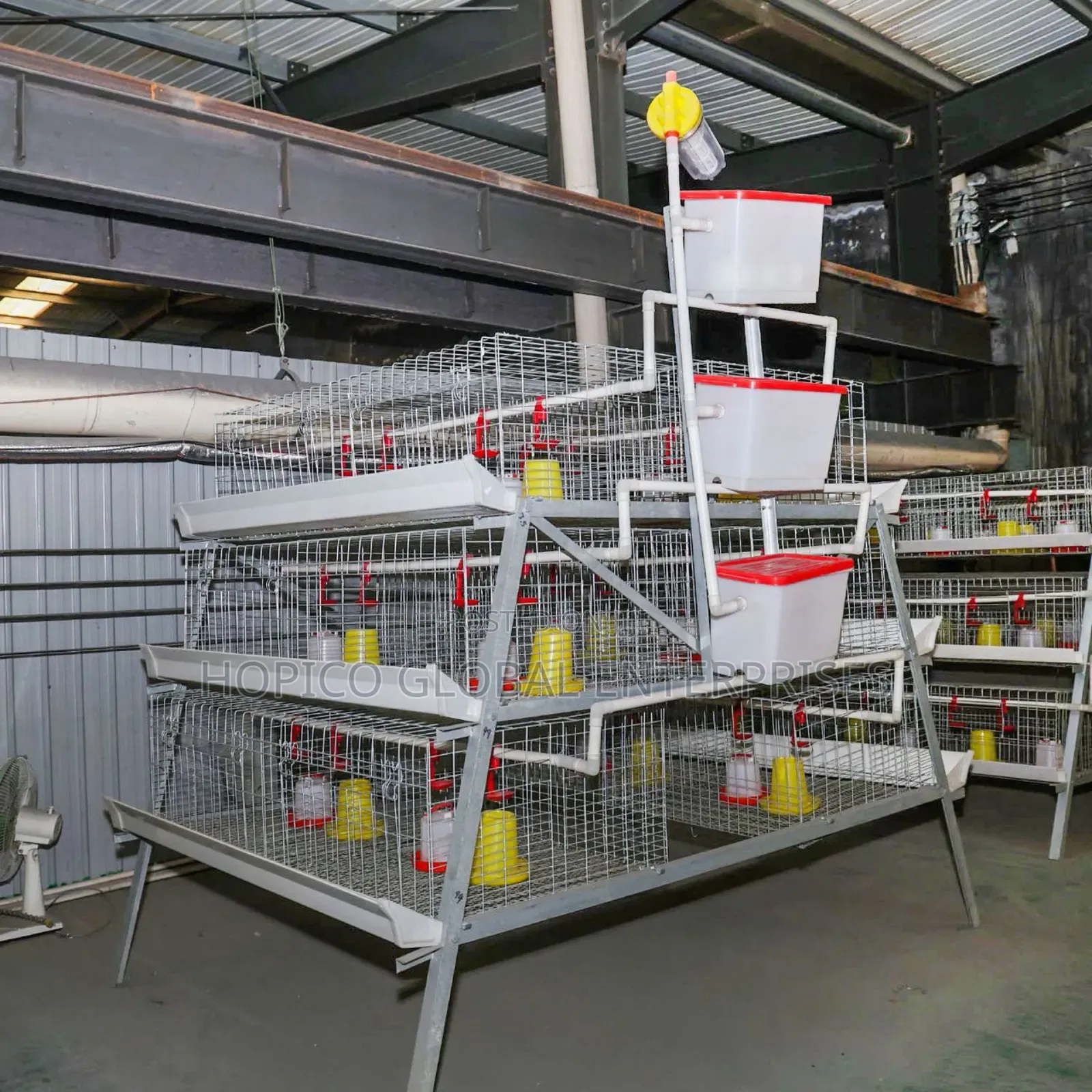 Multipurpose Imported Brooding, Broiler Cage