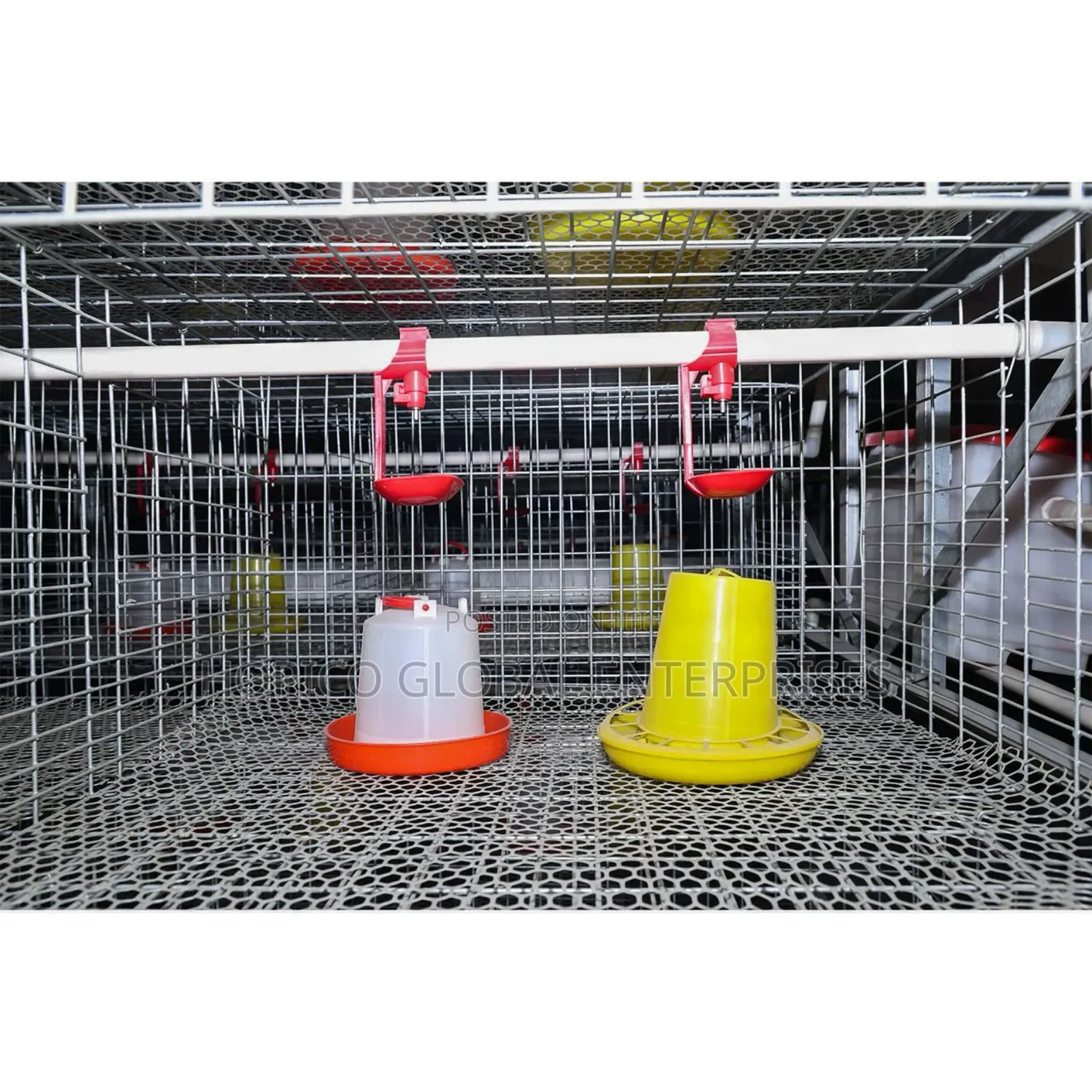 Multipurpose Imported Brooding, Broiler Cage