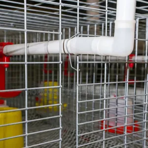 Multipurpose Imported Brooding, Broiler Cage