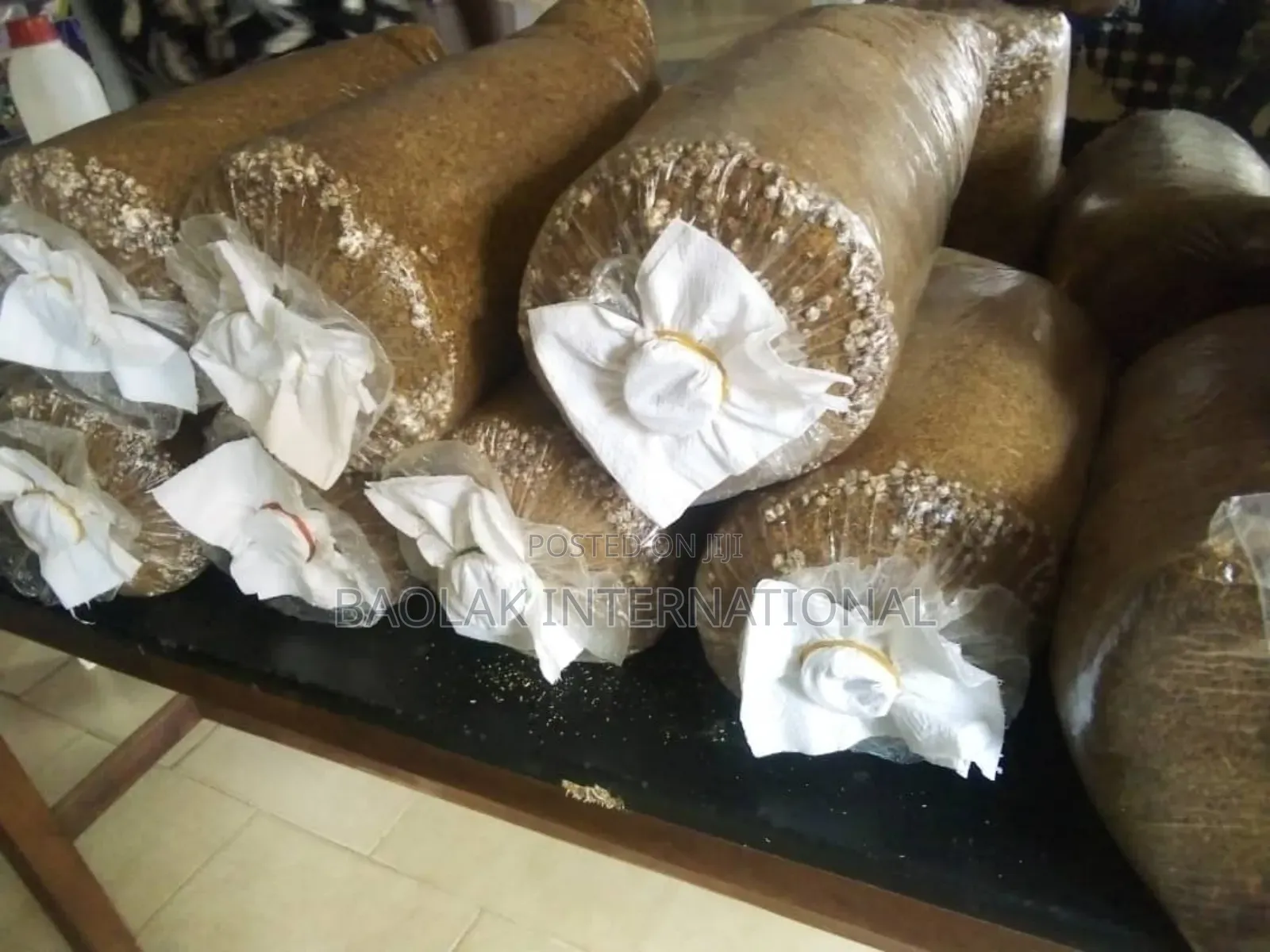 Become Multi Millionaires Through Mushroom Production (Secret).