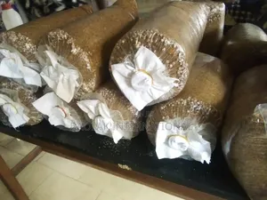 Become Multi Millionaires Through Mushroom Production (Secret).