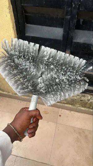 Cobwebs Remover With Its Rod