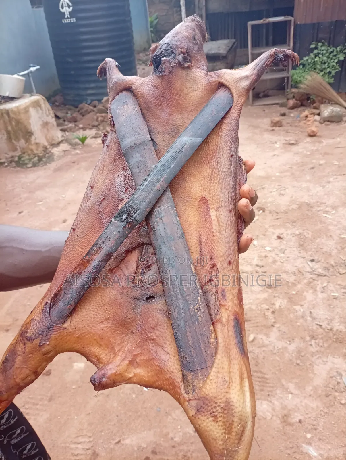 Bush Meats